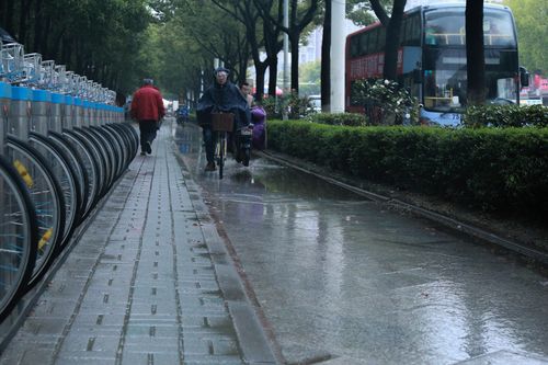下雨推荐出行武汉(武汉下雨天去哪游玩)-第4张图片-微云百科 下雨推荐出行武汉(武汉下雨天去哪游玩)-第4张图片-微云百科