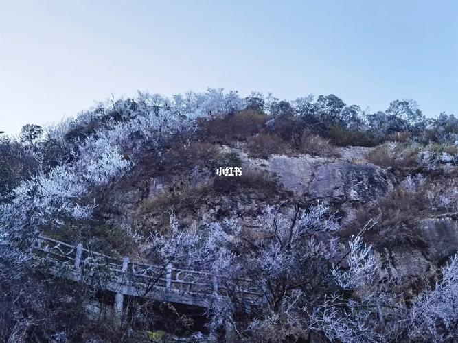 莽山天气,莽山天气预报一周15天-第2张图片-微云百科 莽山天气,莽山天气预报一周15天-第2张图片-微云百科