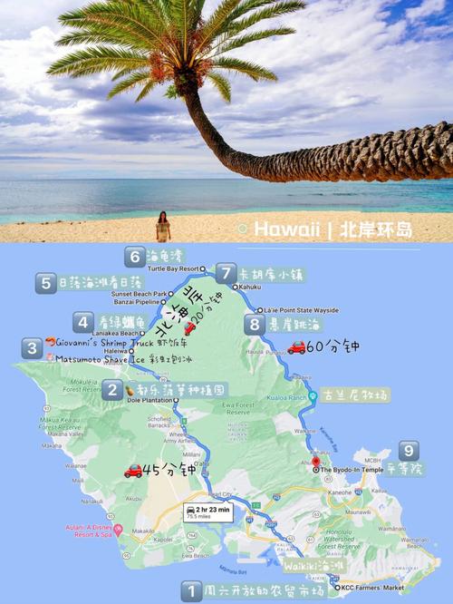 夏威夷可爱岛旅游攻略 - 夏威夷可娜-第6张图片-微云百科 夏威夷可爱岛旅游攻略 - 夏威夷可娜-第6张图片-微云百科