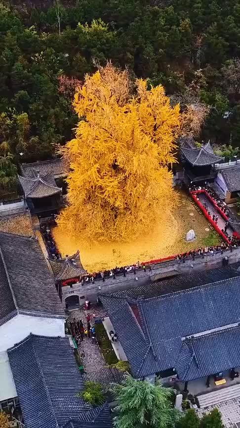 西安下雨龙王出行（西安暴雨时拍到龙）-第3张图片-微云百科