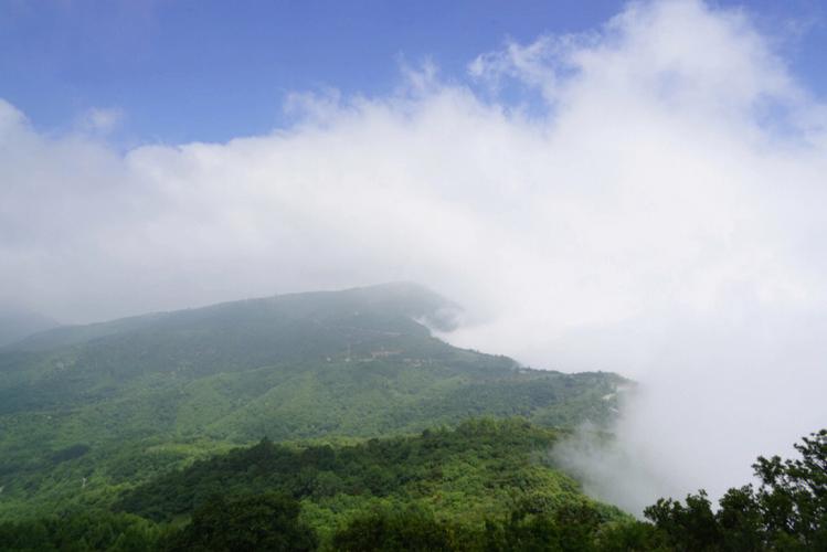 池州青阳天气 - 池州青阳天气预报15天查询结果是什么样的呢-第8张图片-微云百科