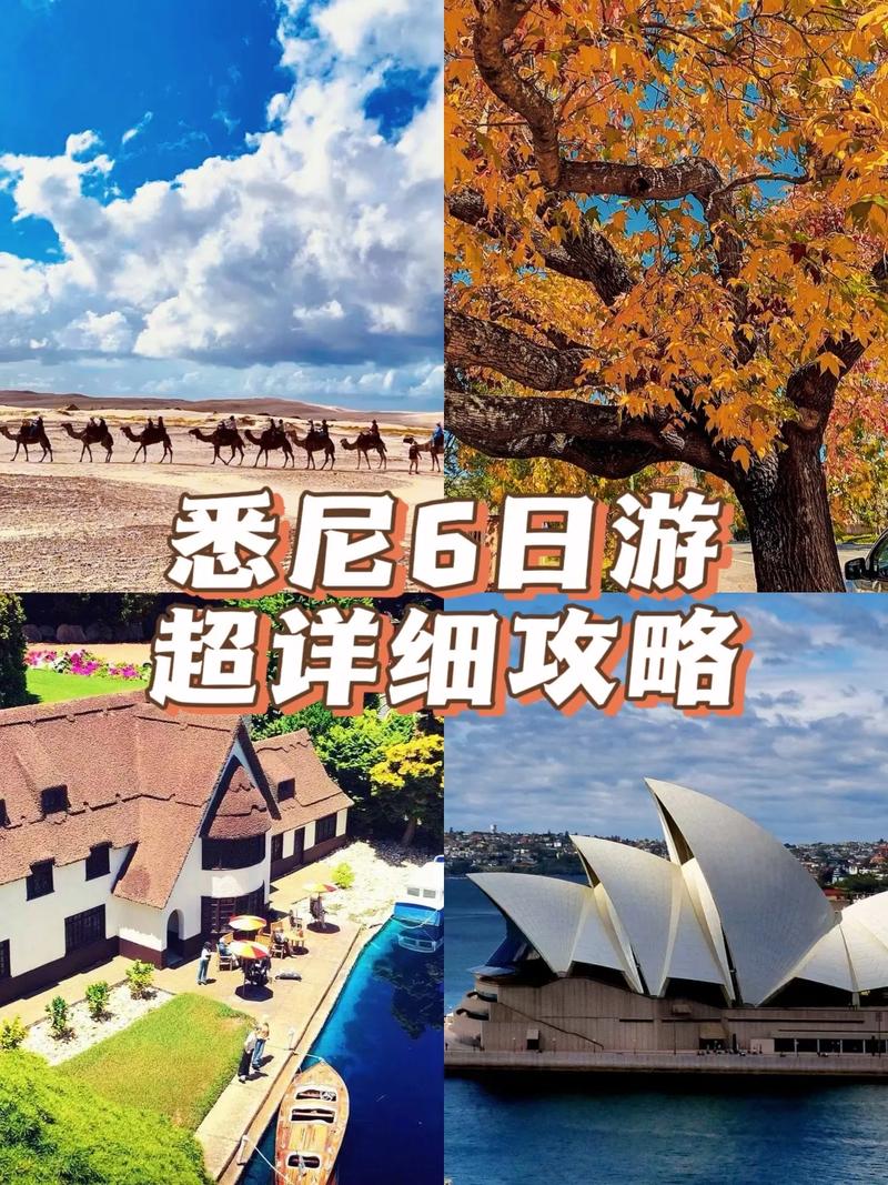 悉尼出行交通攻略 - 悉尼怎么走-第3张图片-微云百科