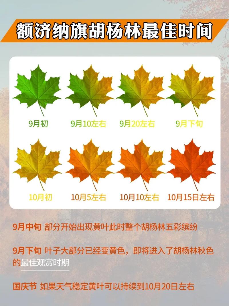阿拉善盟天气,阿拉善盟天气预警-第1张图片-微云百科 阿拉善盟天气,阿拉善盟天气预警-第1张图片-微云百科