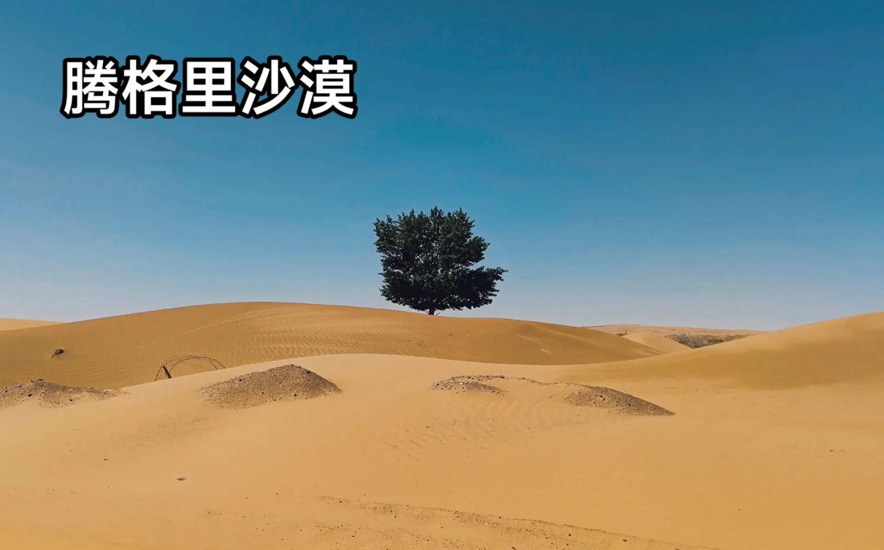 阿拉善盟天气,阿拉善盟天气预警-第4张图片-微云百科 阿拉善盟天气,阿拉善盟天气预警-第4张图片-微云百科