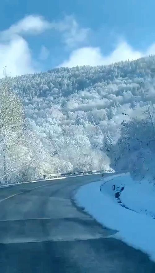 加格达奇天气,加格达奇天气预报15天查询当地疫情-第1张图片-微云百科 加格达奇天气,加格达奇天气预报15天查询当地疫情-第1张图片-微云百科