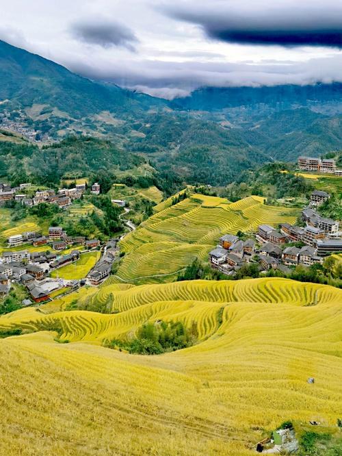 龙脊梯田旅游详细攻略（龙脊梯田旅游详细攻略 包车师傅电话）-第4张图片-微云百科