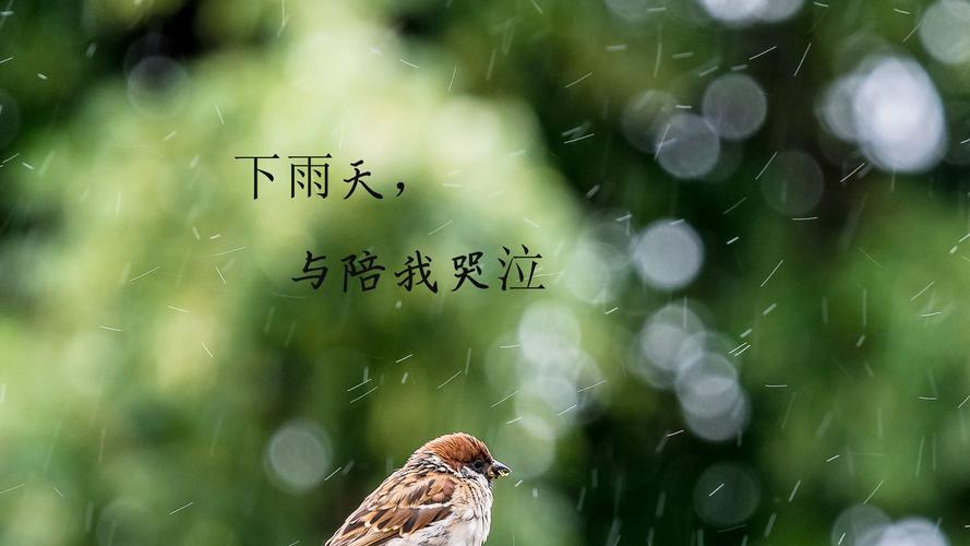 下雨天骑自行车出行的说说 - 下雨天骑自行车出行的说说搞笑-第5张图片-微云百科 下雨天骑自行车出行的说说 - 下雨天骑自行车出行的说说搞笑-第5张图片-微云百科