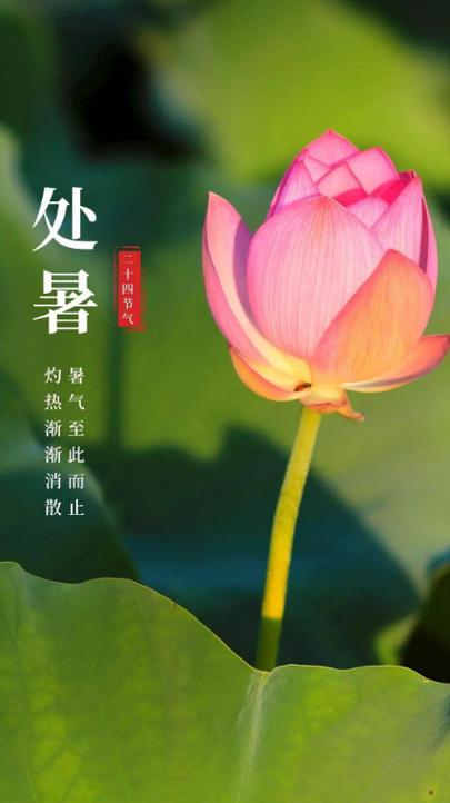 志丹天气预报(西安天气预报)-第2张图片-微云百科 志丹天气预报(西安天气预报)-第2张图片-微云百科