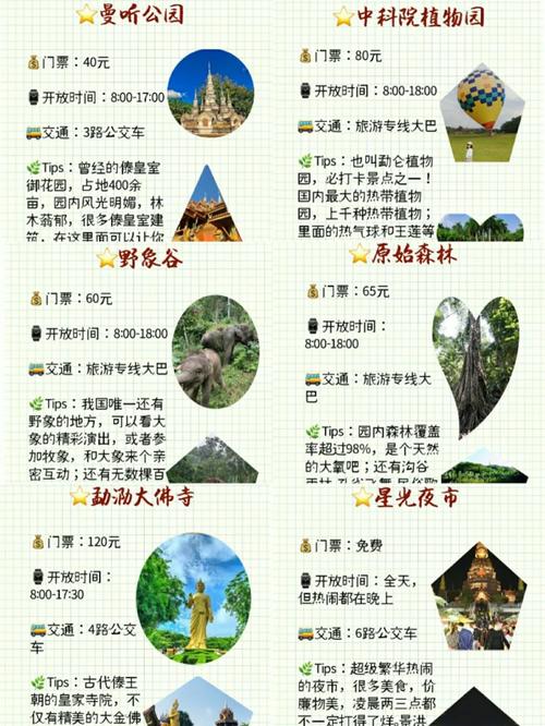 西双版纳旅游出行必备（西双版纳出游攻略）-第1张图片-微云百科