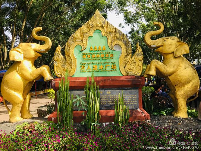 西双版纳旅游出行必备（西双版纳出游攻略）-第2张图片-微云百科