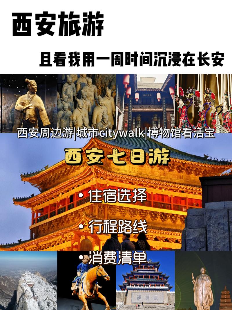 西安限制出行最新 - 西安最新限行政策出台-第8张图片-微云百科 西安限制出行最新 - 西安最新限行政策出台-第8张图片-微云百科
