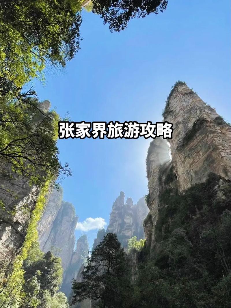 南昌去张家界旅游攻略(南昌去张家界怎么走)-第1张图片-微云百科 南昌去张家界旅游攻略(南昌去张家界怎么走)-第1张图片-微云百科