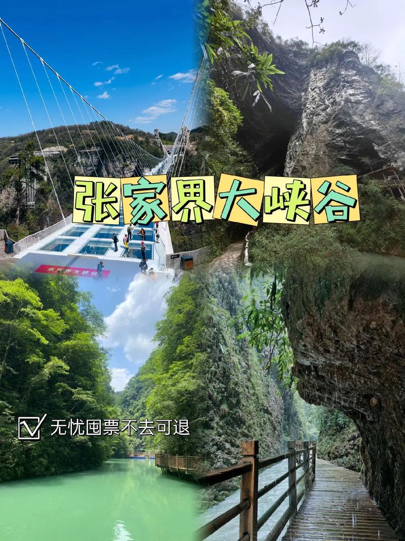 南昌去张家界旅游攻略(南昌去张家界怎么走)-第6张图片-微云百科 南昌去张家界旅游攻略(南昌去张家界怎么走)-第6张图片-微云百科
