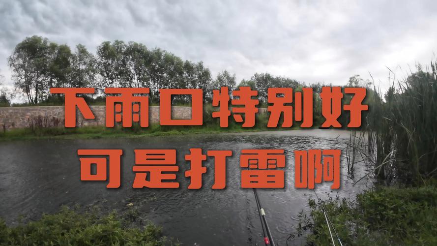 下雨出行钓鱼好吗,下雨钓鱼行不行-第2张图片-微云百科 下雨出行钓鱼好吗,下雨钓鱼行不行-第2张图片-微云百科