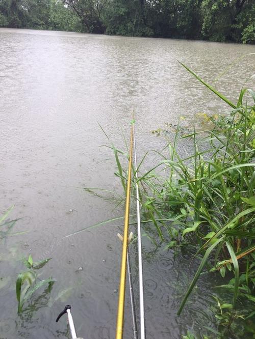 下雨出行钓鱼好吗,下雨钓鱼行不行-第5张图片-微云百科 下雨出行钓鱼好吗,下雨钓鱼行不行-第5张图片-微云百科