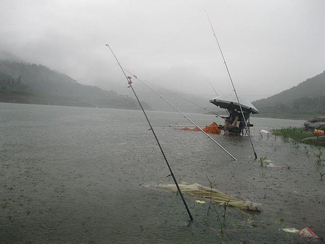 下雨出行钓鱼好吗,下雨钓鱼行不行-第6张图片-微云百科 下雨出行钓鱼好吗,下雨钓鱼行不行-第6张图片-微云百科