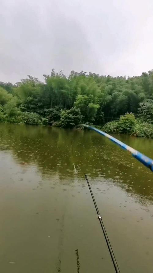 下雨出行钓鱼好吗,下雨钓鱼行不行-第8张图片-微云百科 下雨出行钓鱼好吗,下雨钓鱼行不行-第8张图片-微云百科