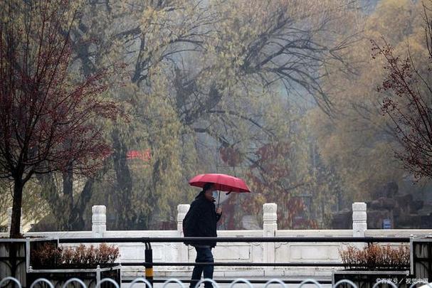 下雨了如何出行(下雨了如何出行英语作文)-第2张图片-微云百科 下雨了如何出行(下雨了如何出行英语作文)-第2张图片-微云百科