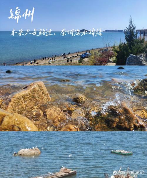 吉林省旅游攻略自驾游,吉林省旅游景点攻略-第2张图片-微云百科 吉林省旅游攻略自驾游,吉林省旅游景点攻略-第2张图片-微云百科