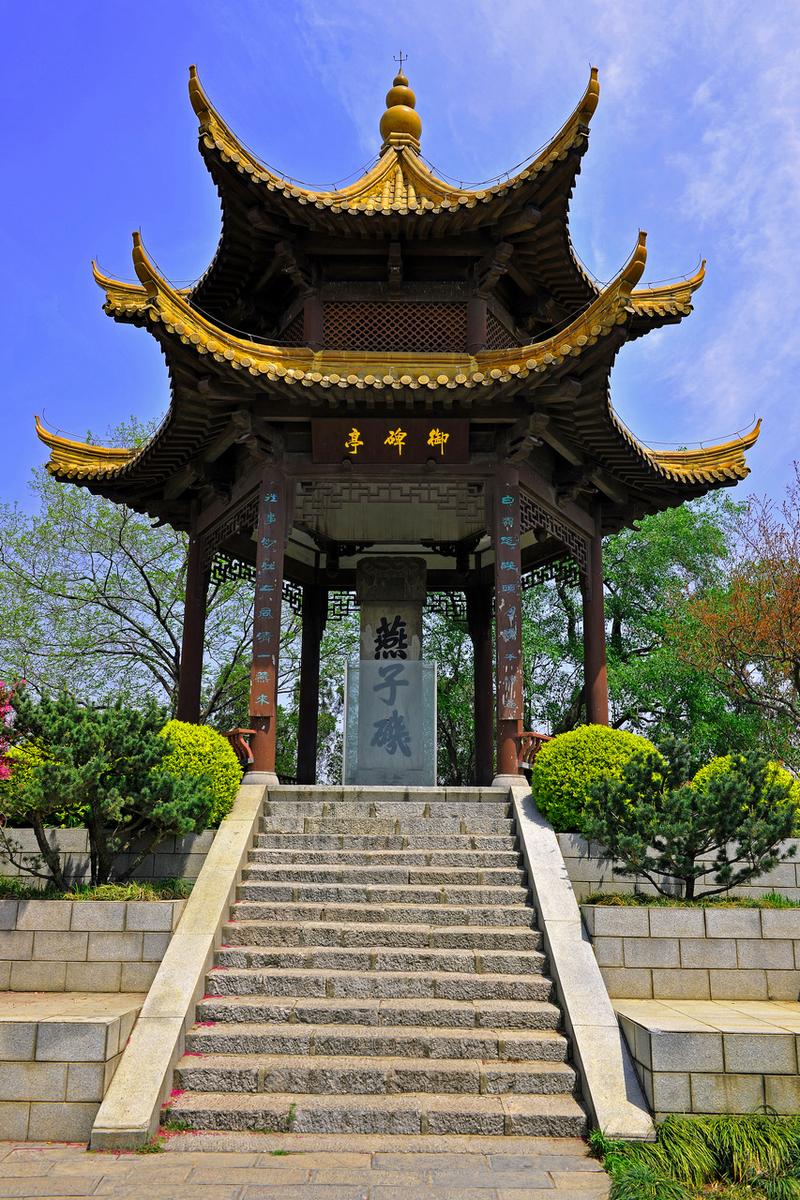 西双版纳小鱼出行(西双版纳鱼小院)-第2张图片-微云百科 西双版纳小鱼出行(西双版纳鱼小院)-第2张图片-微云百科