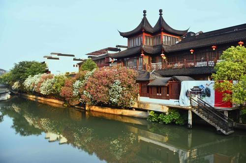 西双版纳小鱼出行(西双版纳鱼小院)-第4张图片-微云百科 西双版纳小鱼出行(西双版纳鱼小院)-第4张图片-微云百科
