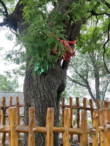 榆树天气预报,沈阳天气预报-第3张图片-微云百科 榆树天气预报,沈阳天气预报-第3张图片-微云百科