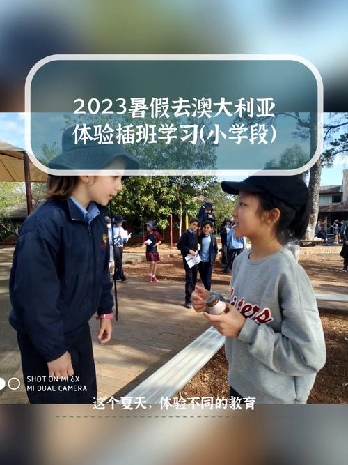 悉尼机场出行步骤，悉尼机场出行步骤-第4张图片-微云百科