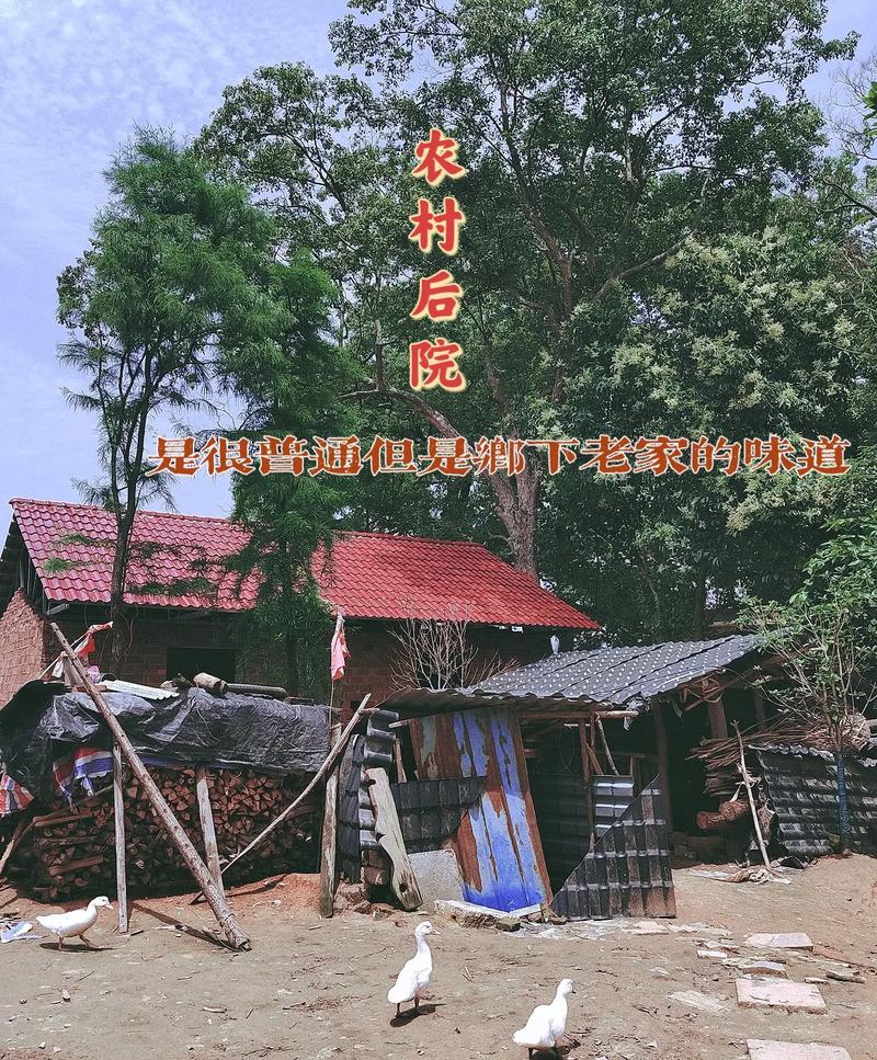 望奎天气预报，望奎天气预报30天-第3张图片-微云百科