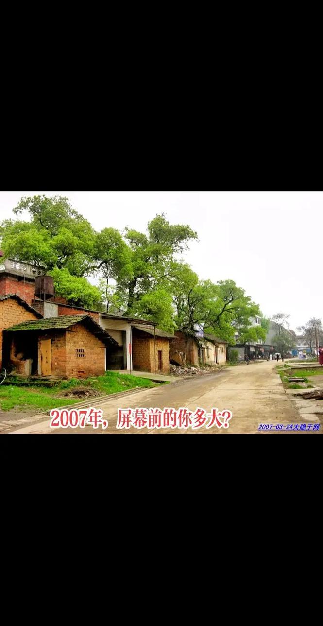 望奎天气预报，望奎天气预报30天-第4张图片-微云百科