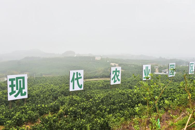 米易天气,米易天气攀枝花天气预报15天-第1张图片-微云百科 米易天气,米易天气攀枝花天气预报15天-第1张图片-微云百科