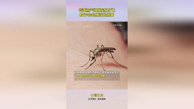 嵊州天气,嵊州天气预报40天查询百度百科-第1张图片-微云百科 嵊州天气,嵊州天气预报40天查询百度百科-第1张图片-微云百科