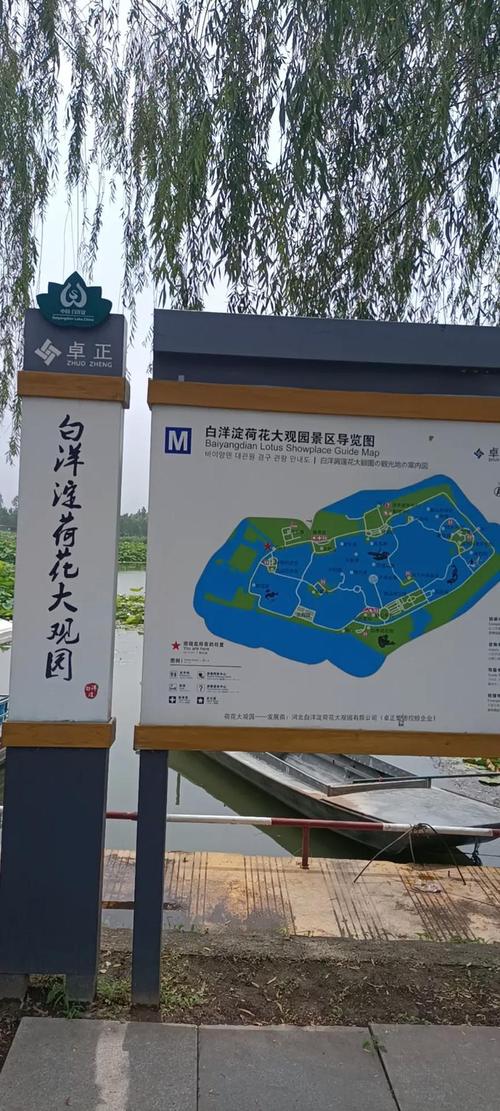 白洋淀旅游攻略一日游 - 白洋淀旅游攻略一日游2021-第7张图片-微云百科 白洋淀旅游攻略一日游 - 白洋淀旅游攻略一日游2021-第7张图片-微云百科