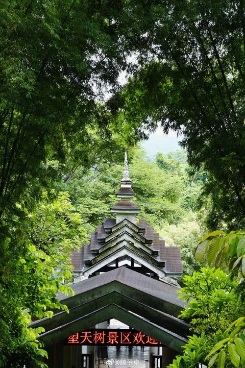 西双版纳周边旅游攻略 - 西双版纳周边有什么好玩的地方-第3张图片-微云百科