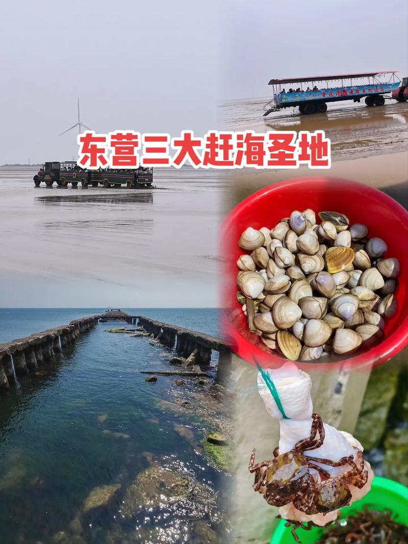 浙江象山天气 - 浙江象山天气预报-第3张图片-微云百科 浙江象山天气 - 浙江象山天气预报-第3张图片-微云百科
