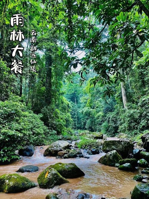 西双版纳出行登记,西双版纳出境证在哪里办理-第6张图片-微云百科 西双版纳出行登记,西双版纳出境证在哪里办理-第6张图片-微云百科