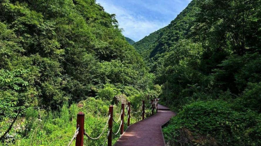 黑河森林公园旅游攻略 - 黑河森林公园旅游攻略大全-第5张图片-微云百科