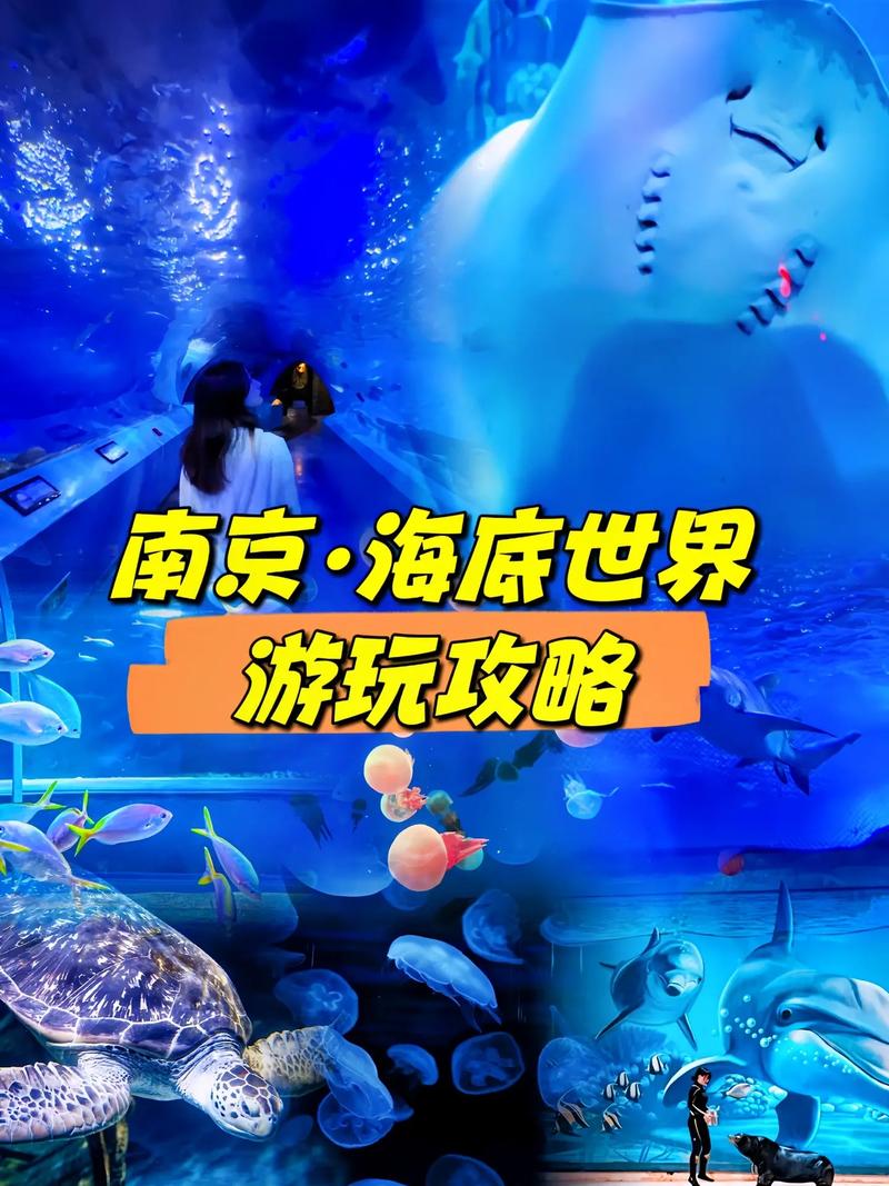 南京海底世界旅游攻略，2021南京海底世界一日游攻略-第1张图片-微云百科