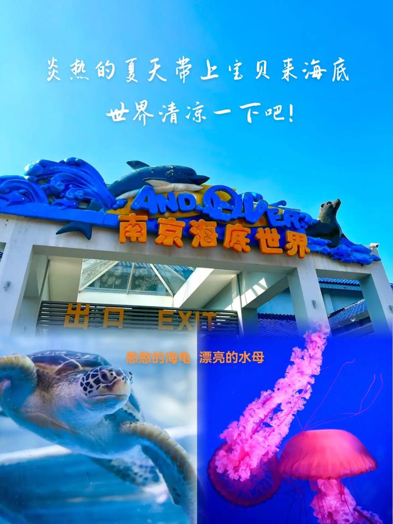 南京海底世界旅游攻略，2021南京海底世界一日游攻略-第3张图片-微云百科
