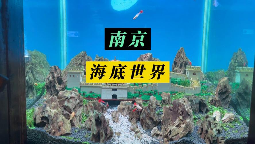 南京海底世界旅游攻略，2021南京海底世界一日游攻略-第4张图片-微云百科