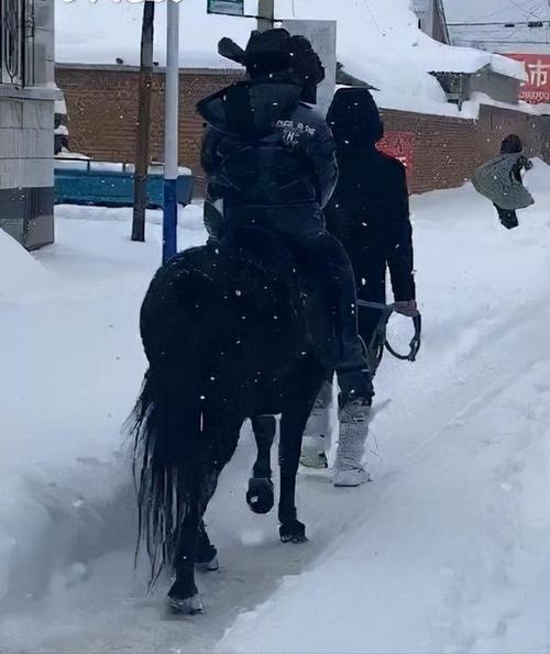 下大雪骑马出行，大雪骑马视频-第4张图片-微云百科