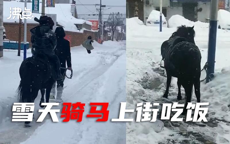 下大雪骑马出行，大雪骑马视频-第6张图片-微云百科