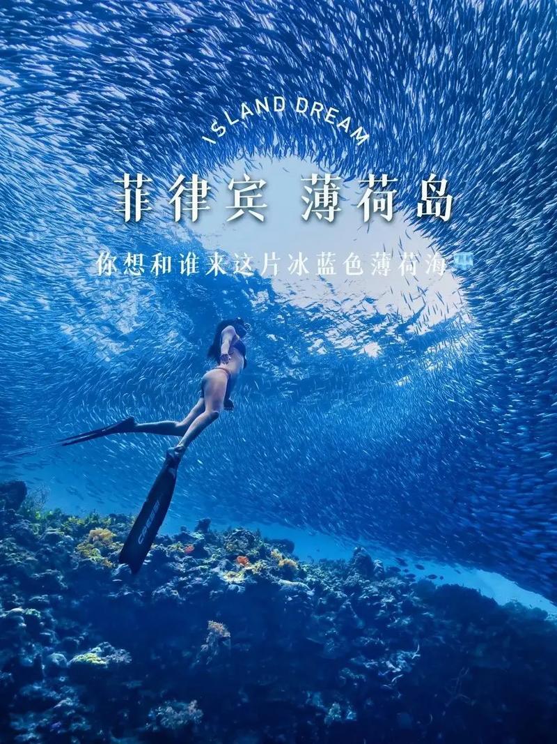 菲律宾马尼拉旅游攻略 - 菲律宾马尼拉市-第8张图片-微云百科