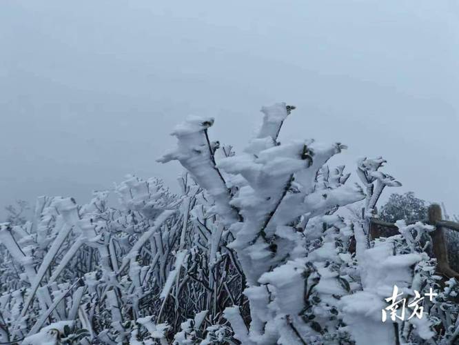 星子天气 - 连州星子天气-第4张图片-微云百科