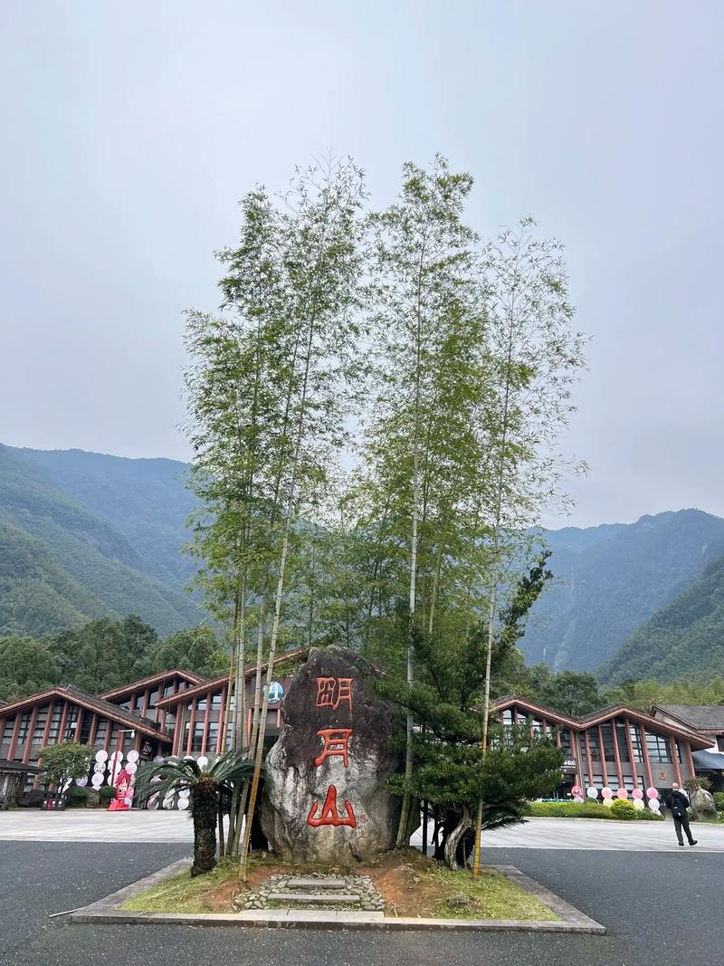 明月山旅游攻略一日游(明月山旅游攻略一日游作文)-第3张图片-微云百科 明月山旅游攻略一日游(明月山旅游攻略一日游作文)-第3张图片-微云百科