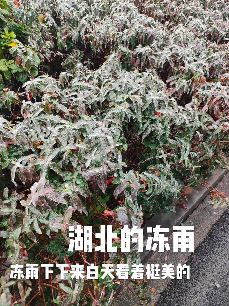 临武天气预报,临武天气预报15天查询百度-第1张图片-微云百科 临武天气预报,临武天气预报15天查询百度-第1张图片-微云百科