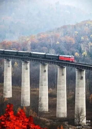 重庆到长白山旅游攻略,重庆到长白山怎么坐车-第4张图片-微云百科 重庆到长白山旅游攻略,重庆到长白山怎么坐车-第4张图片-微云百科