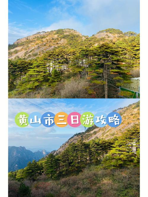 上海杭州旅游5天攻略 - 上海杭州旅游必去景点推荐-第7张图片-微云百科