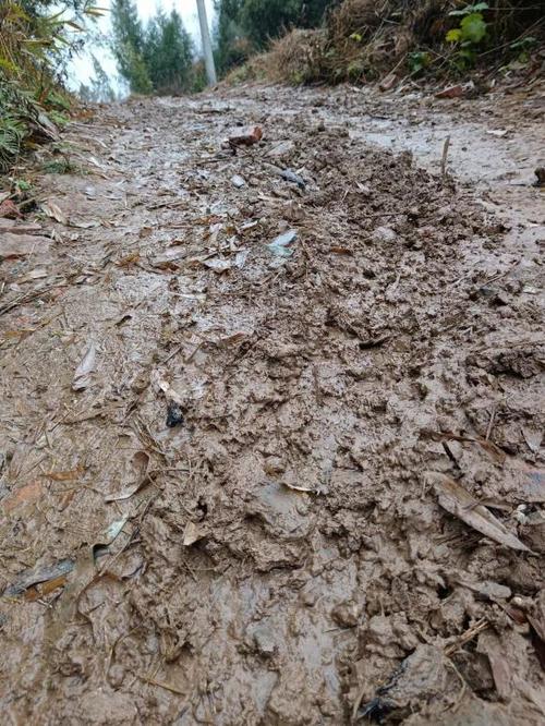 下雨天出行不便有什么事（下雨天不能出门的感言）-第3张图片-微云百科