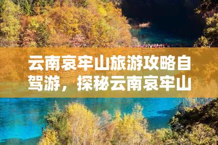 哀牢山一日游旅游攻略(哀牢山门票多少钱一个人)-第3张图片-微云百科 哀牢山一日游旅游攻略(哀牢山门票多少钱一个人)-第3张图片-微云百科