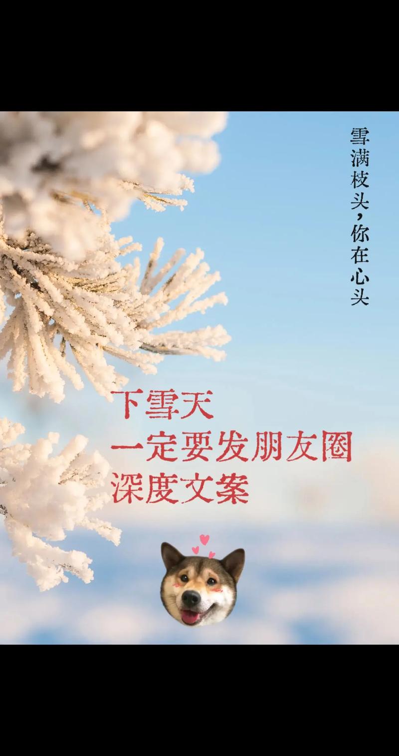 下雪出行的说说（下雪出行的说说心情）-第6张图片-微云百科